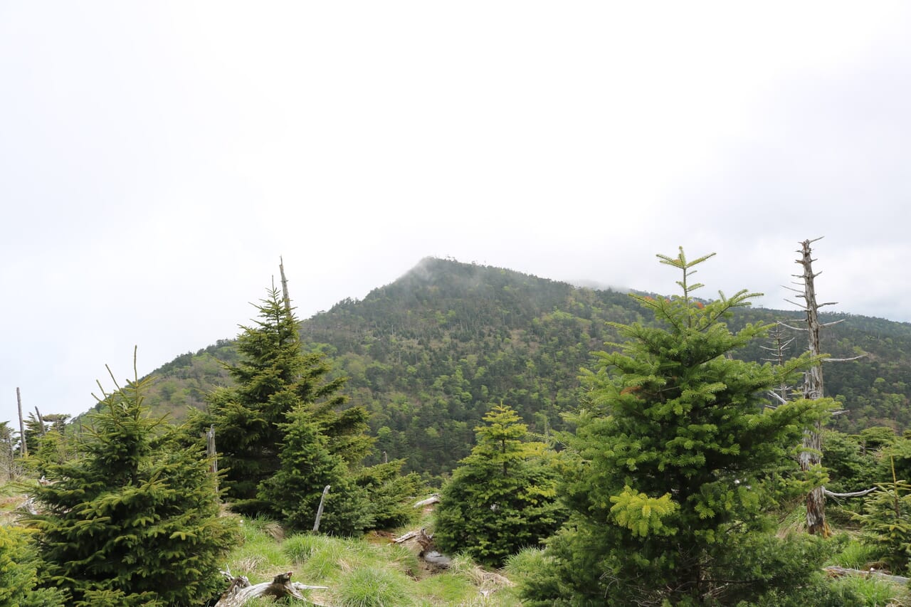 弥山山頂から見た八経ヶ岳