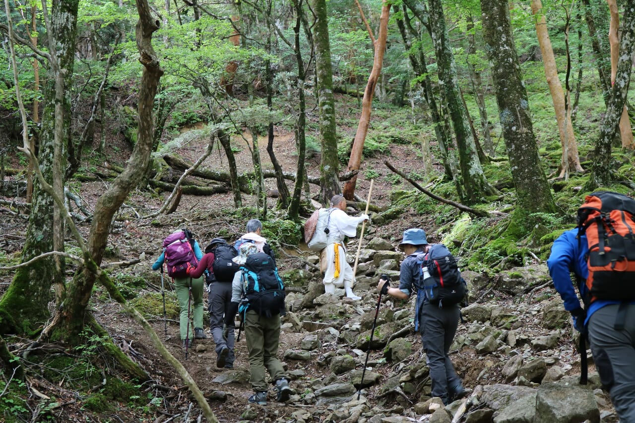 弥山　奥駈道出合までの登りにて