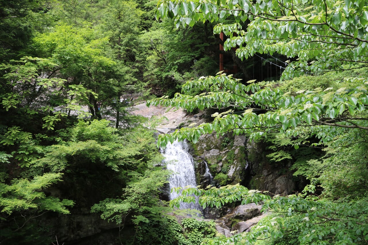 みたらい渓谷を散策。今は新緑ですが秋の紅葉の時期は見ごたえ十分