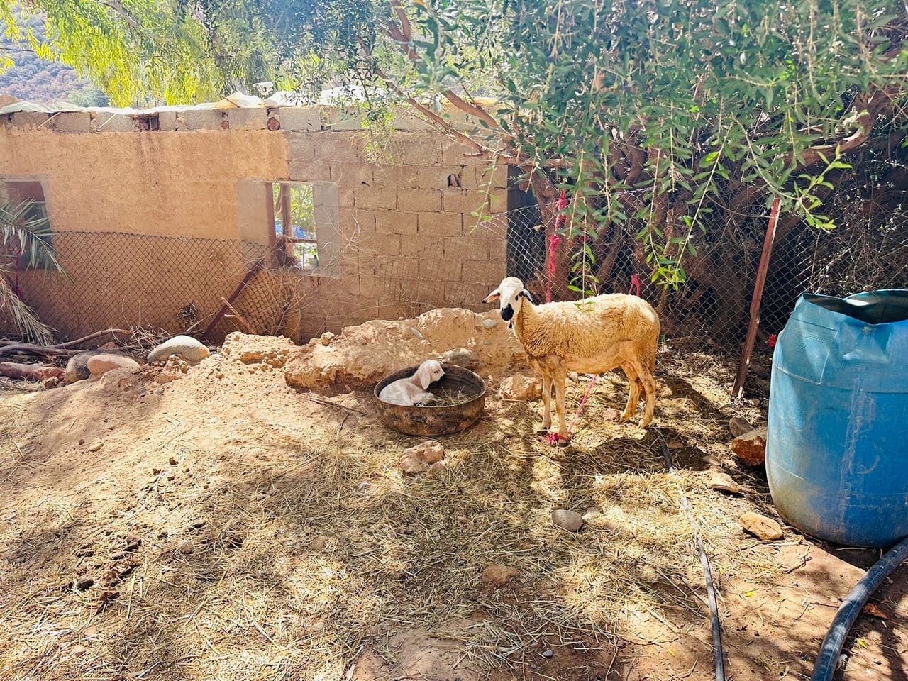 モロッコの村で民家訪問