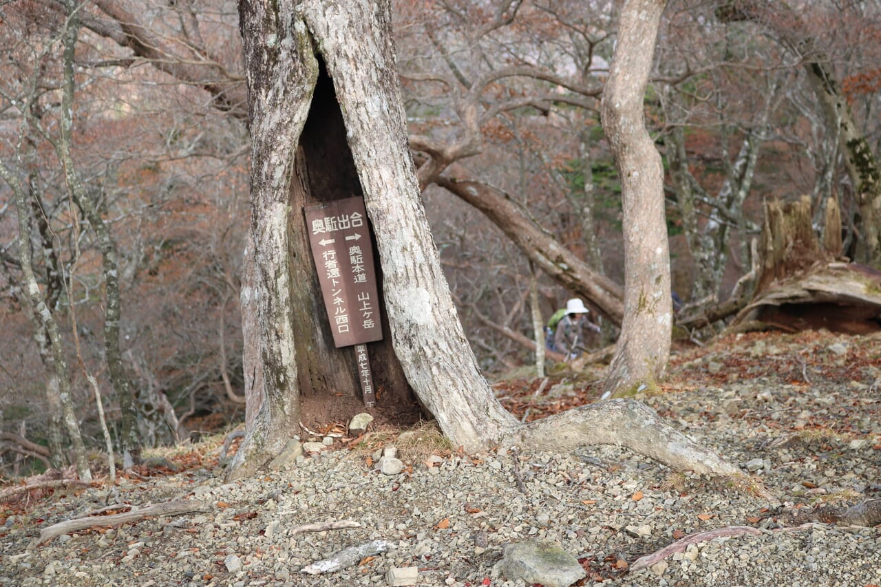 奥駈道出合にある道標