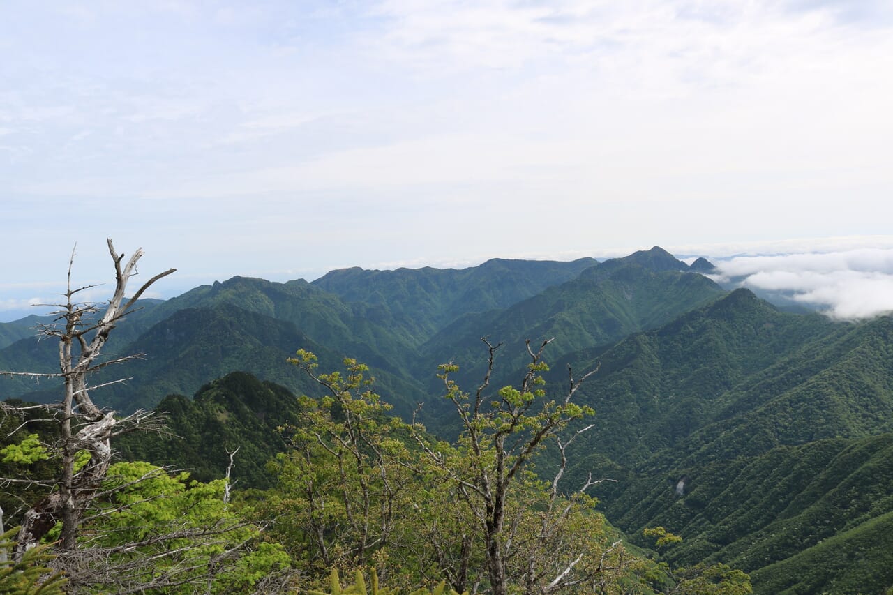 右から大普賢岳、山上ヶ岳、稲村ヶ岳が並ぶ奥駈道吉野方面