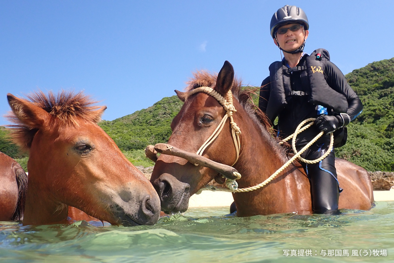 与那国島で海馬あそび