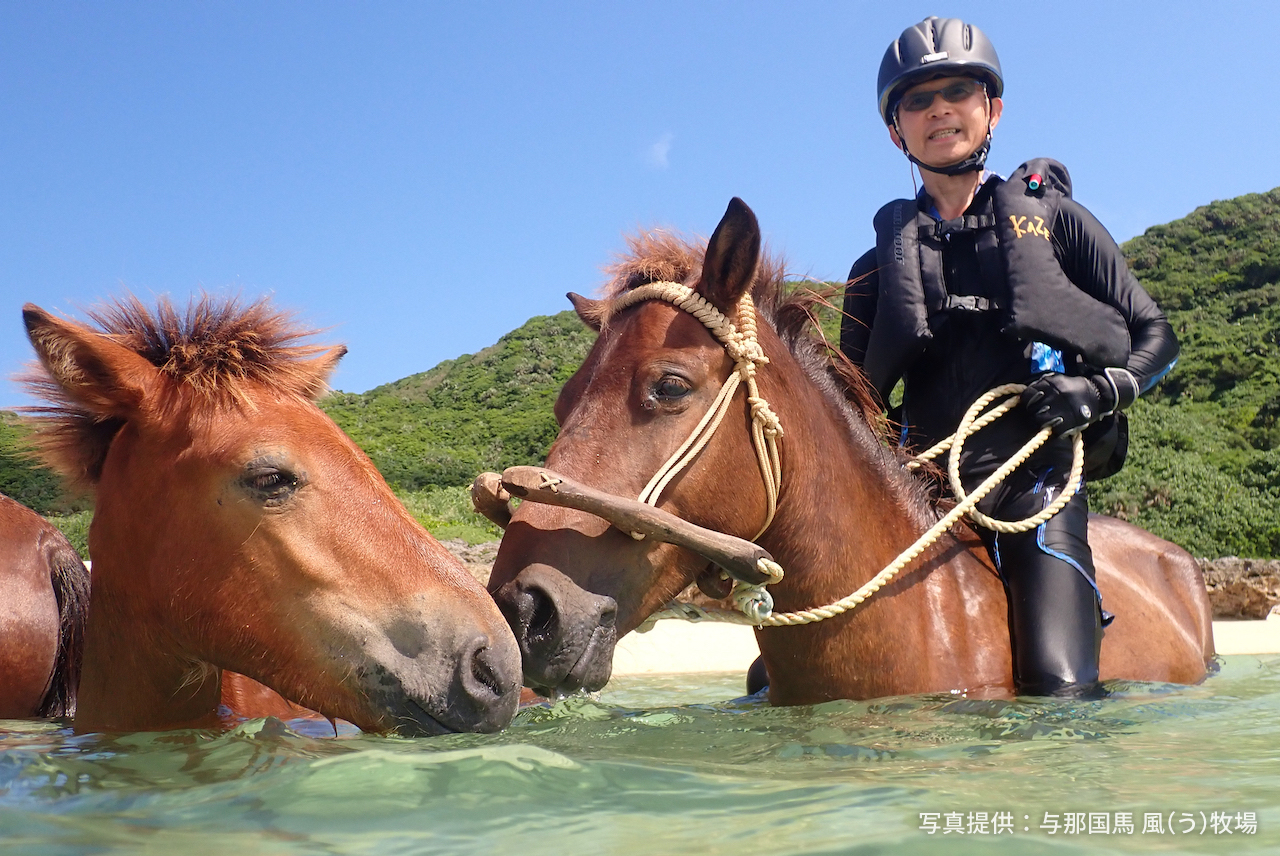 与那国島で海馬あそび