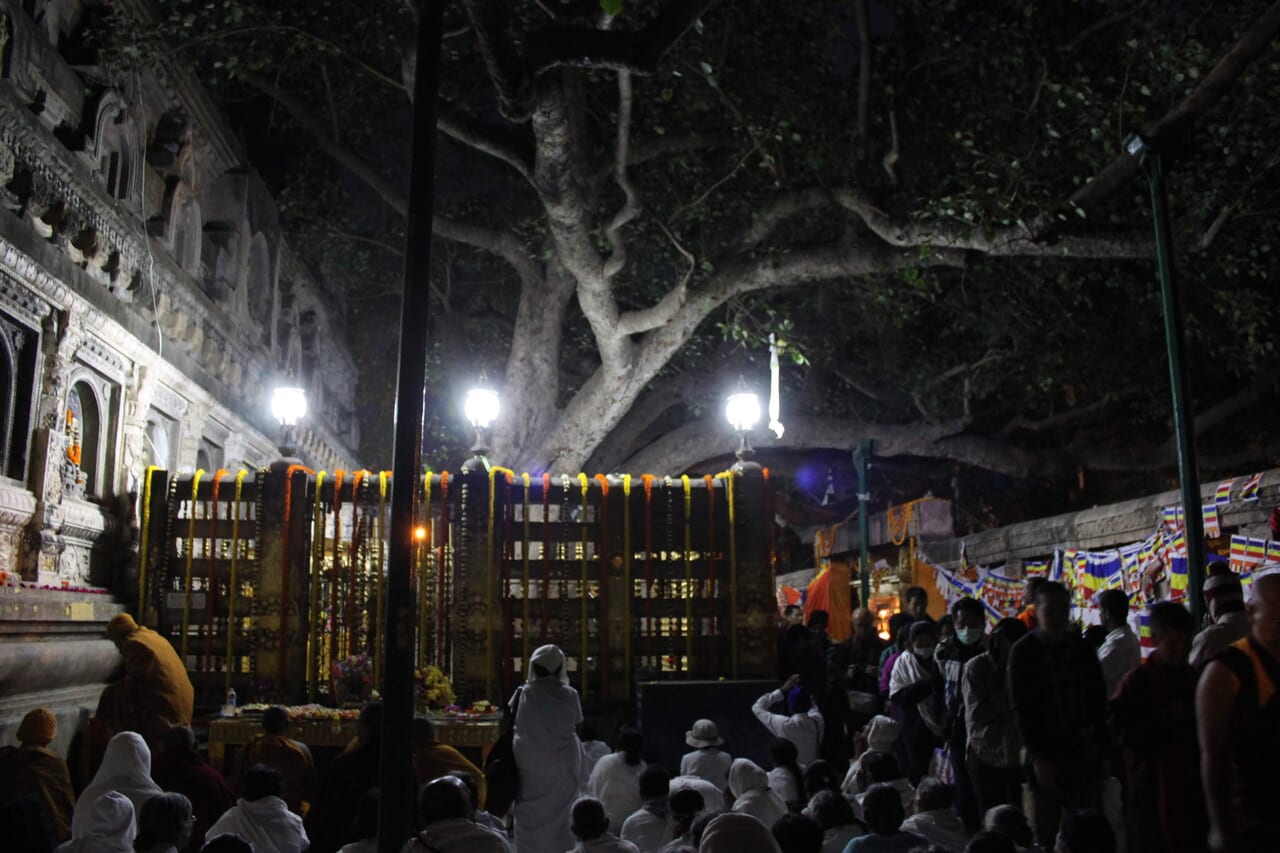 金剛法座と菩提樹を囲み祈る巡礼者たち