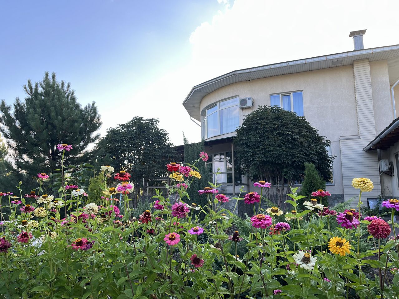 花と木々に囲まれたゲストハウスは評判も上々（カラコル）