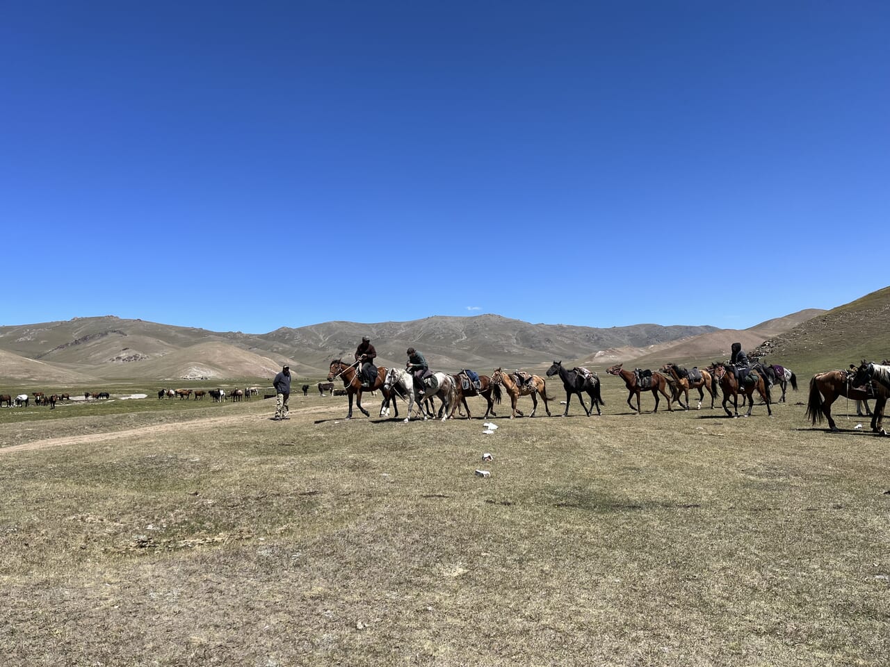 お世話になった馬たちが馬方さんに連れられて帰途につきました。ありがとう。