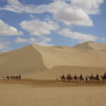 砂漠をゆく　シルクロードの旅にて