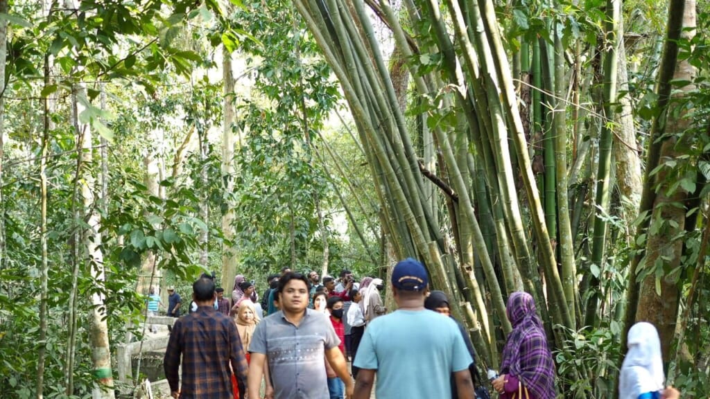 ラワチャラ国立公園（Lawachara national park）