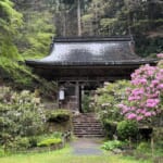 雨の志明院