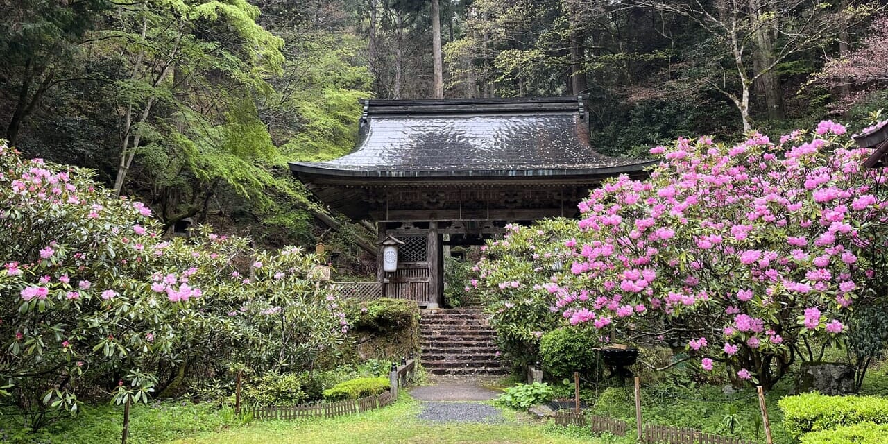 雨の志明院