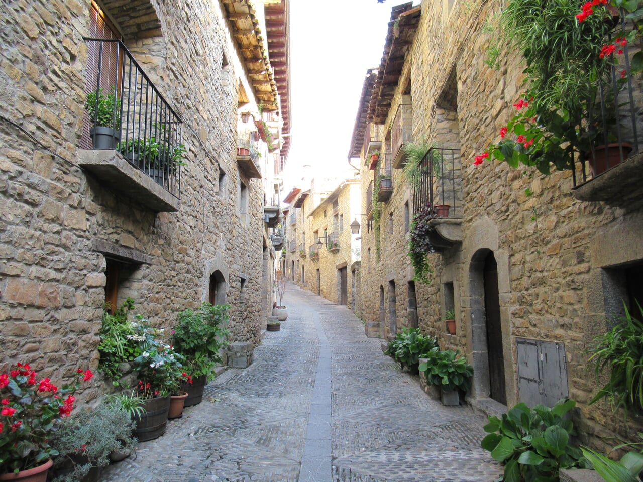 ピレネーの美しい山村シリーズ4：スペインで最も美しい村アインサ