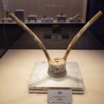 トルファン近郊の墓地からの出土品1