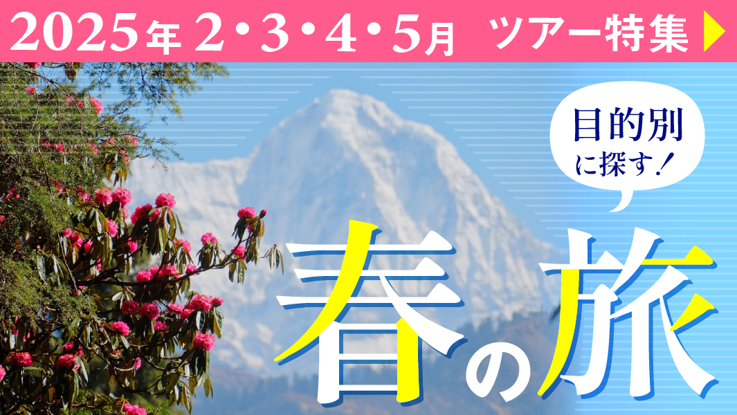 2025年2月3月4月5月ツアー