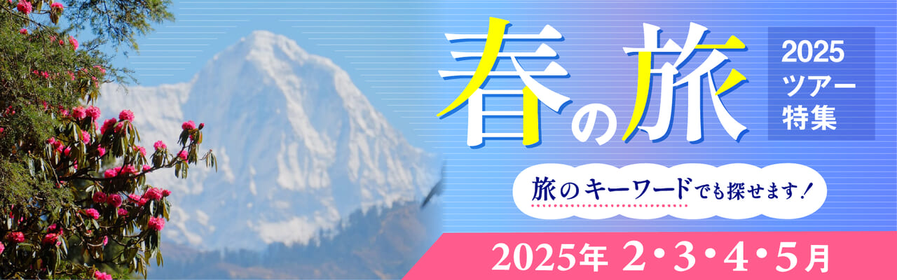 春の旅（2025年2月～5月）ツアー一覧