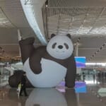 西安空港第5ターミナル　七仔