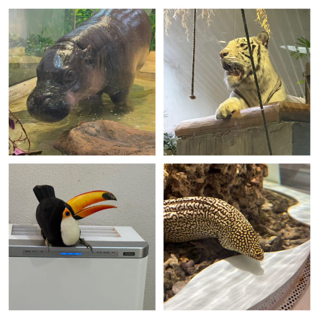 動物が間近に感じられるニフレル