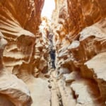 ir-sp-qeshm10