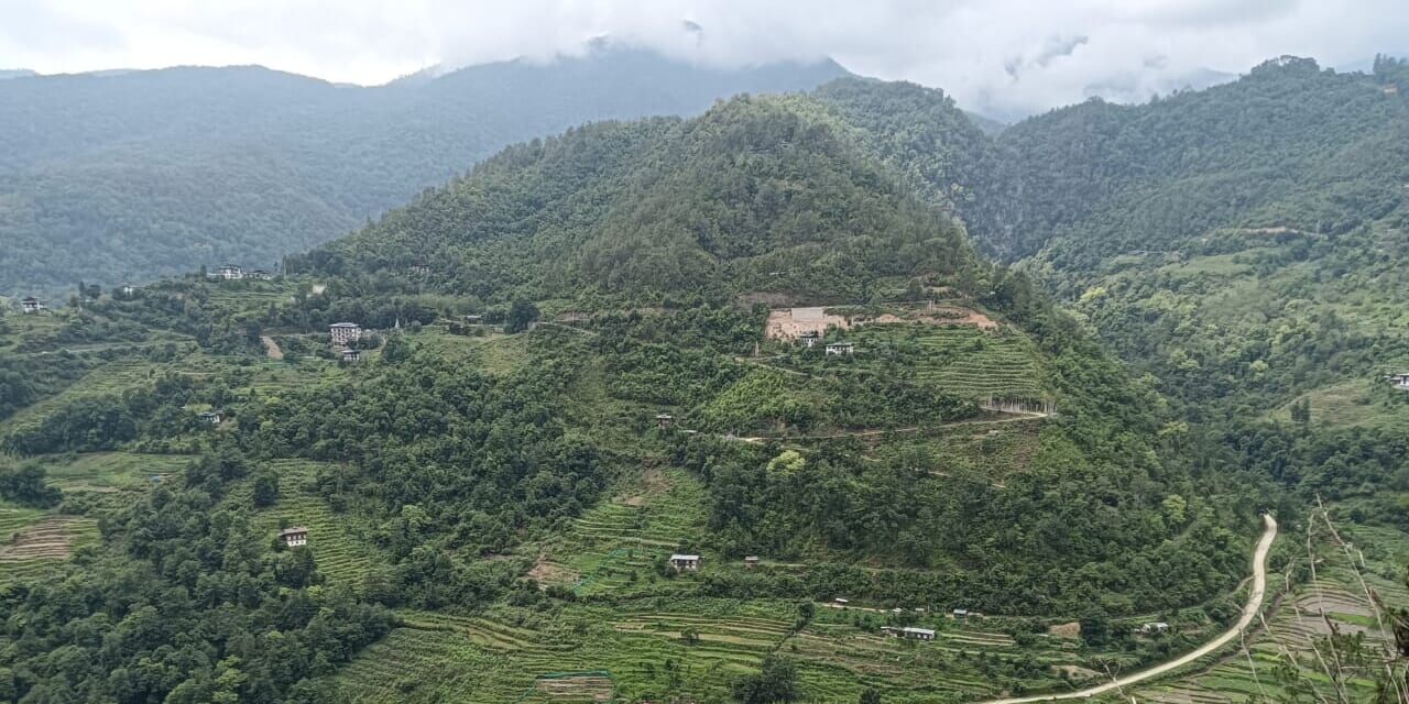 森林の切れ目から見えた集落。先人たちはこうした景色に何を思ったのでしょう。