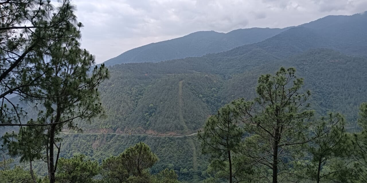 谷の反対側に車の道路が見えた!