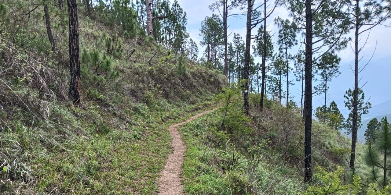尾根を回りこむと、木々の切れ目から「下界」のようすが俯瞰できます。