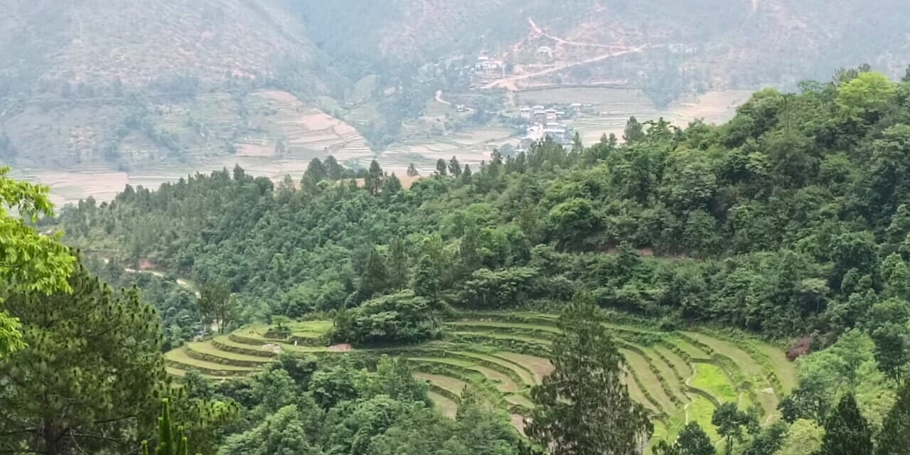 こんなにも美しい棚田が見られたりします。季節によって違う顔を見せてくれます。