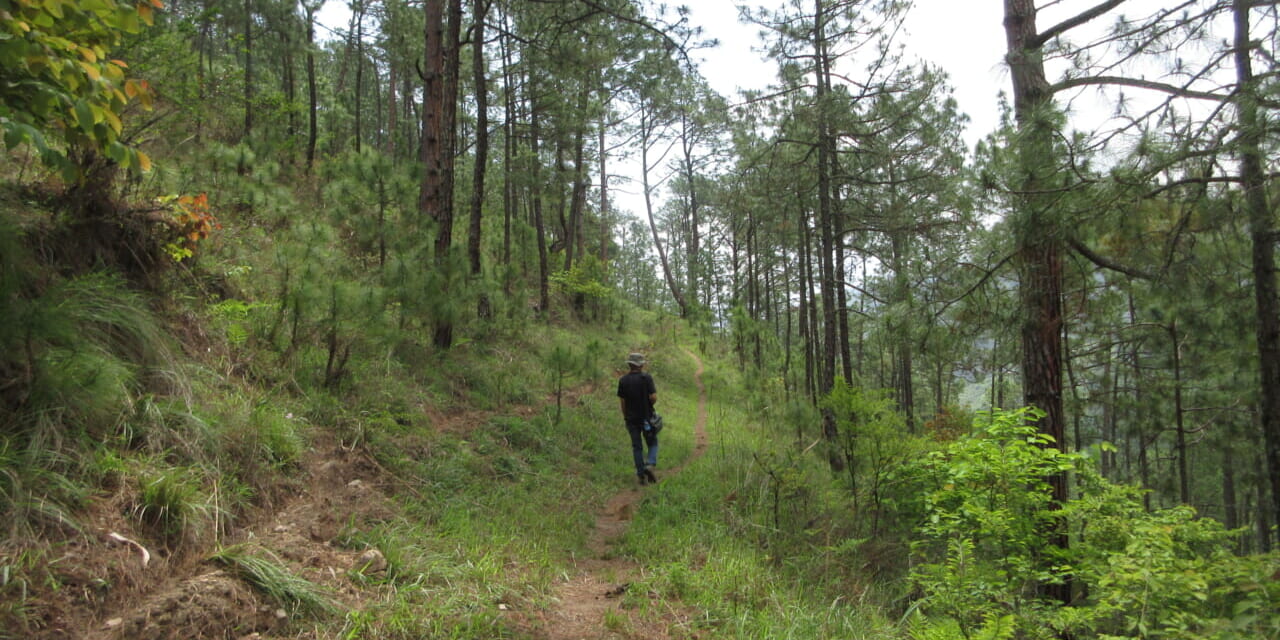 夏草の時期などは道が判然としない箇所もあります。