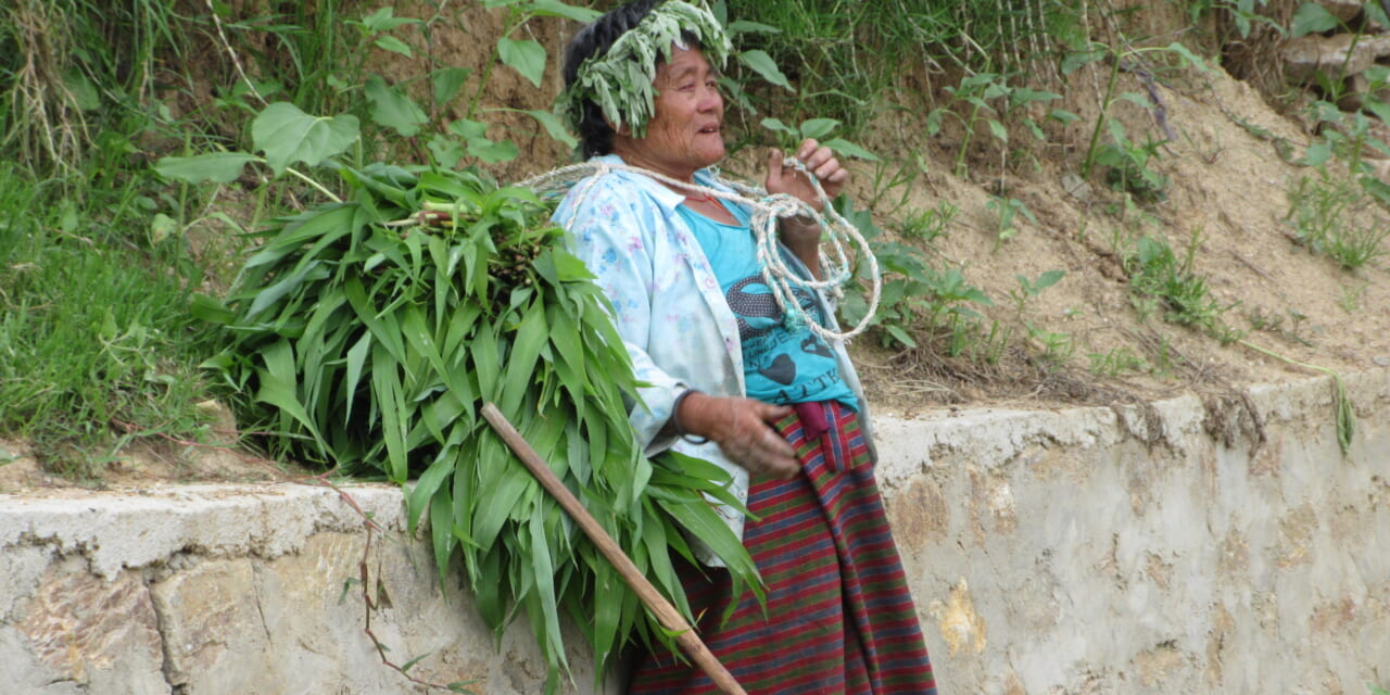 おばあちゃん、御精が出ますね。