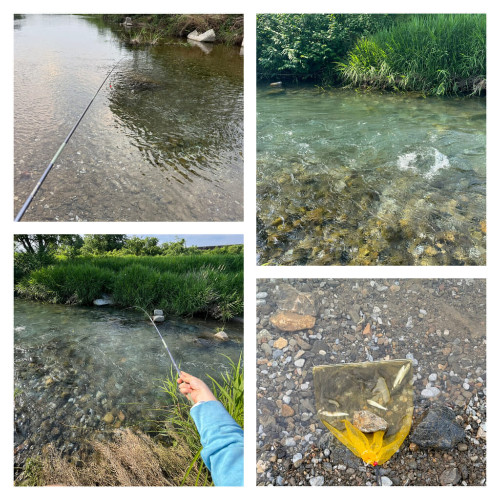 綺麗な川で、小鮎釣り