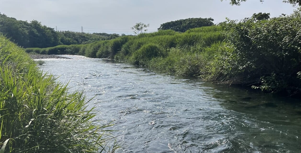 小鮎が釣れる場所