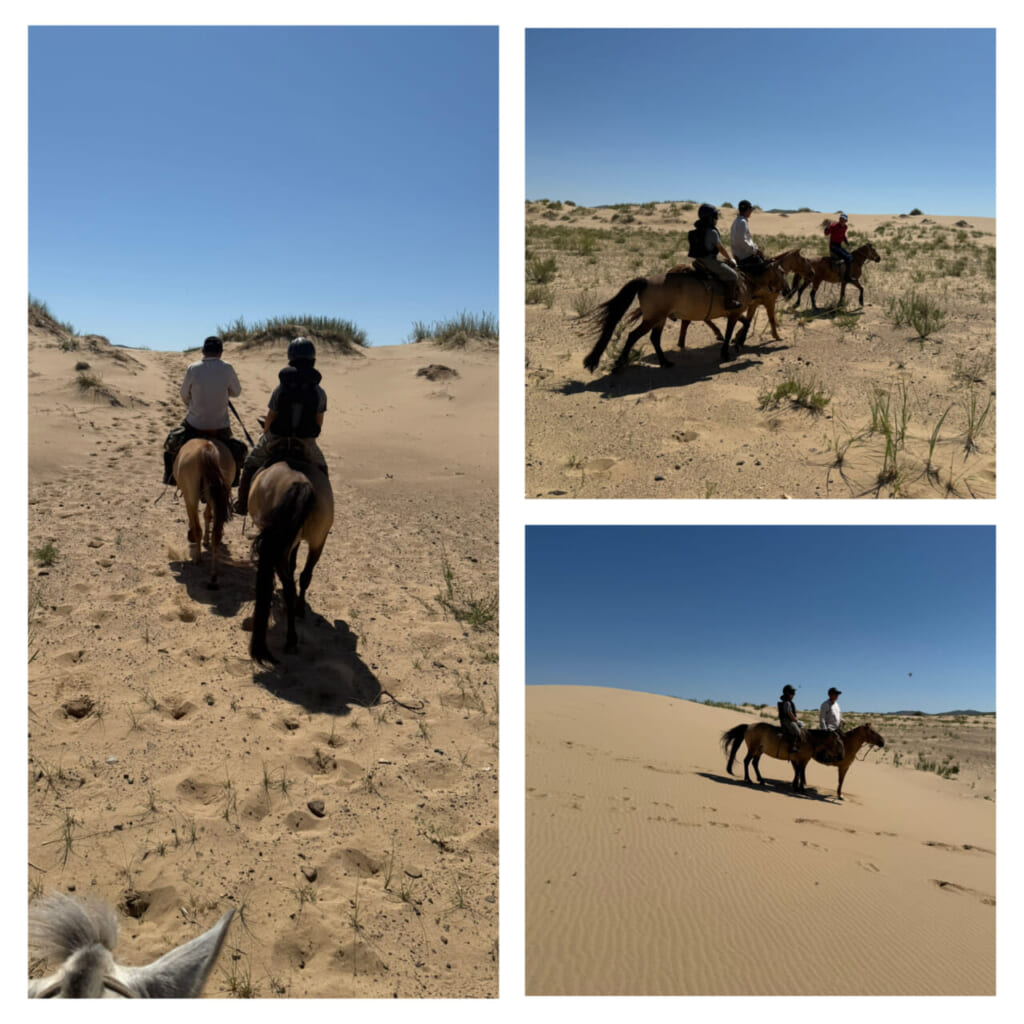 砂丘エリアでの乗馬