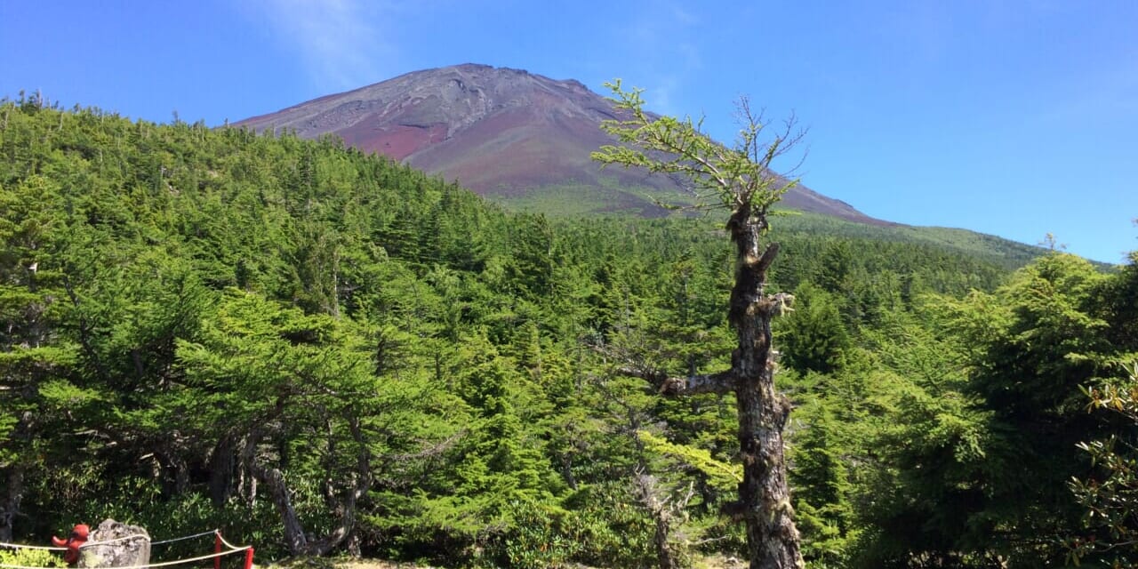 富士山