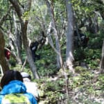 oz-k-tanaka-gio-31-takamikura