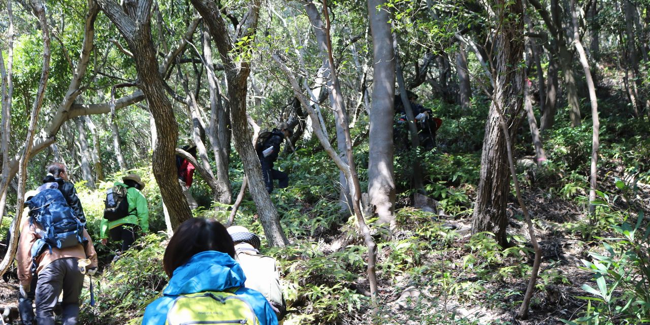 oz-k-tanaka-gio-31-takamikura