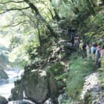 oz-k-tanaka-gio-34-akame