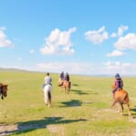 草原へ馬と一緒に出発！