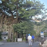 oz-d-yakushima-ohara25-4