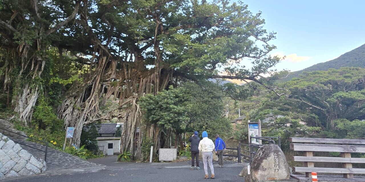 oz-d-yakushima-ohara25-4