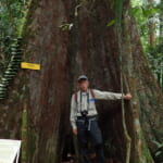 oz-k-sakio-zoom-26-1