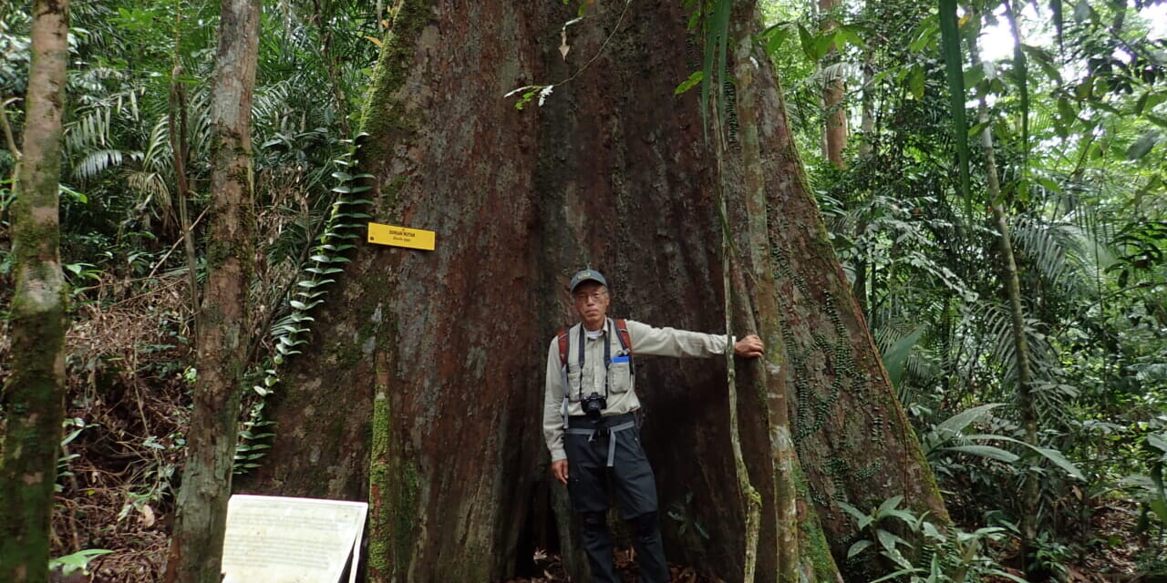 oz-k-sakio-zoom-26-1