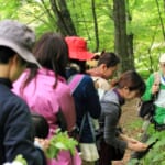 oz-k-ogawa-zoom-hy26-1