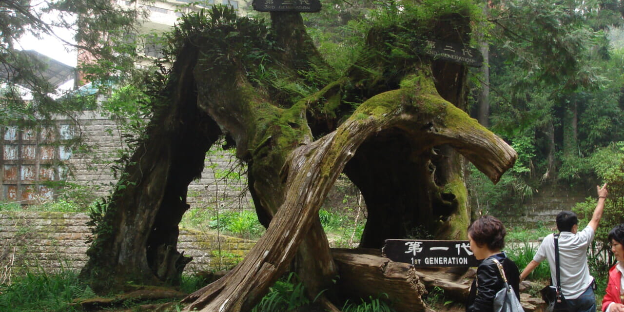 oz-i-sakio-taiwan-2026-1