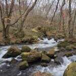 oz-d-yakushima-oirase25