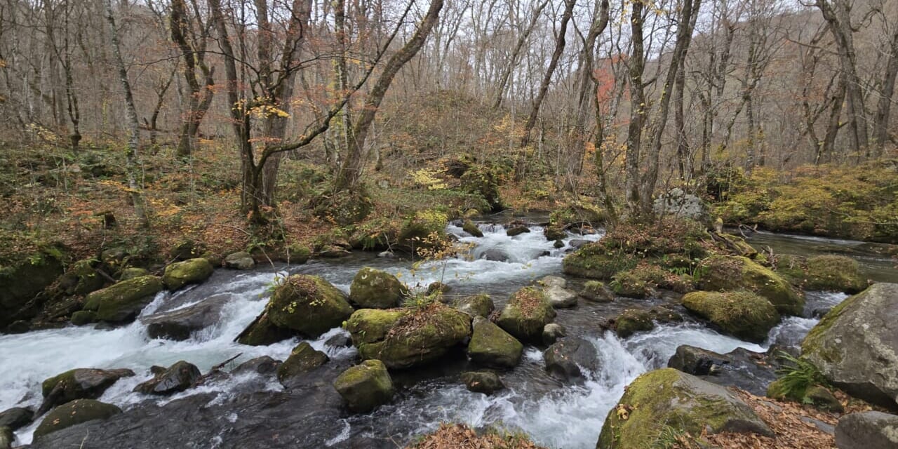 oz-d-yakushima-oirase25