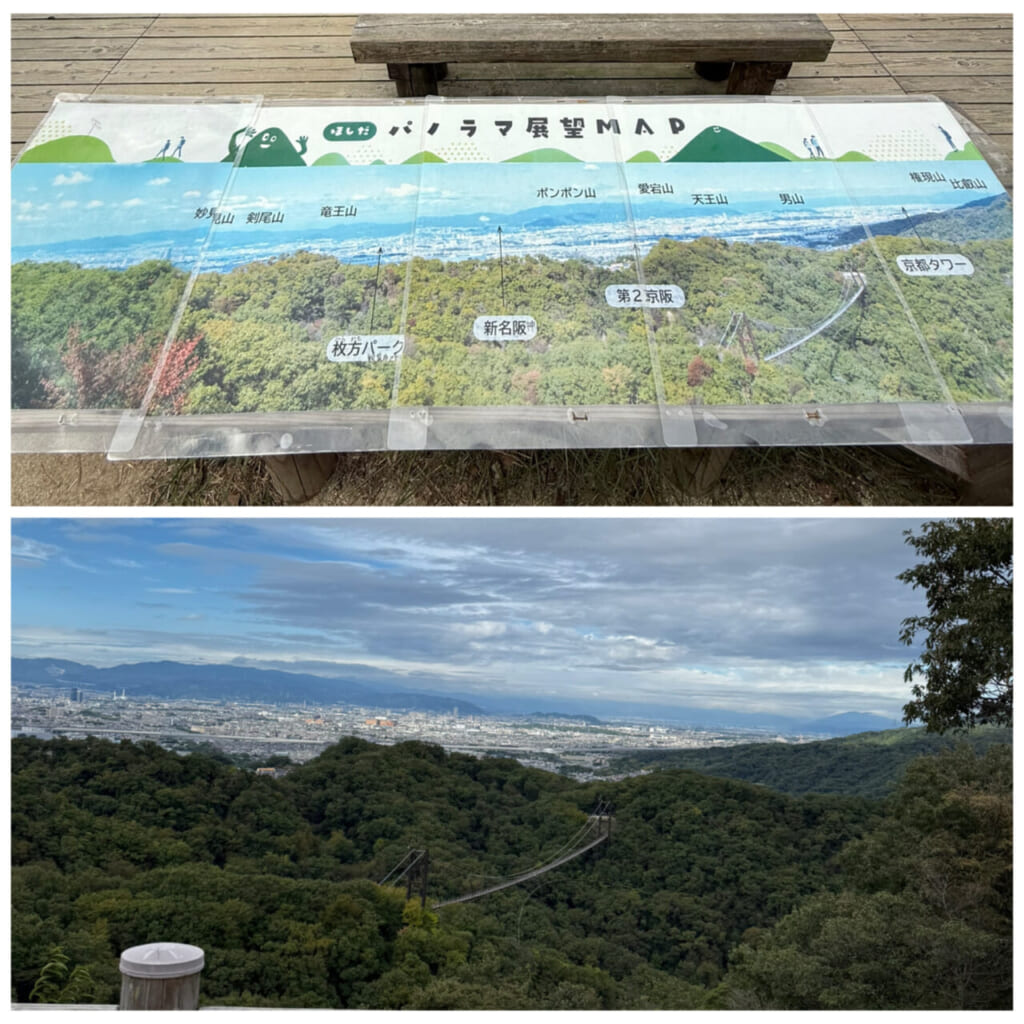 展望デッキから見える景色