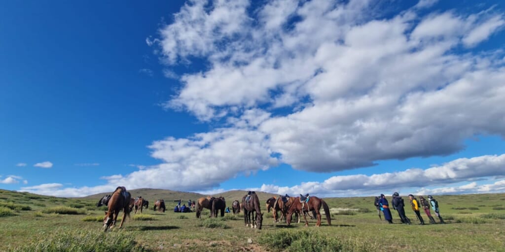 青空と草原のコントラスト