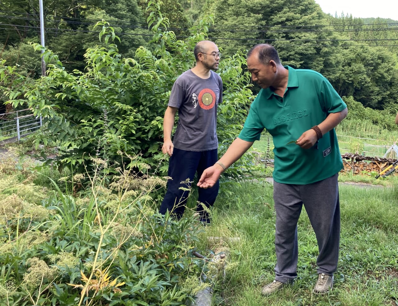 薬草を観察するエムチ (002)