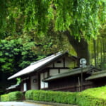 oz-k-nogi-sekine26-1