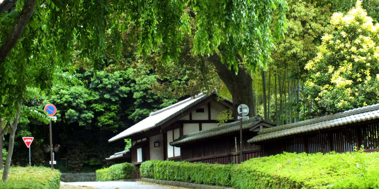 oz-k-nogi-sekine26-1