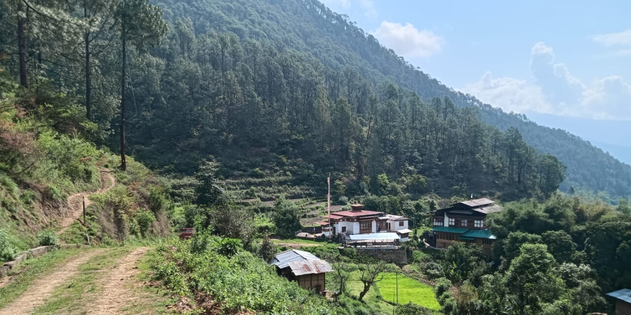 「緑のにおい」を嗅ぎながら、「谷あいをわたる風」を感じながらあるきましょう。